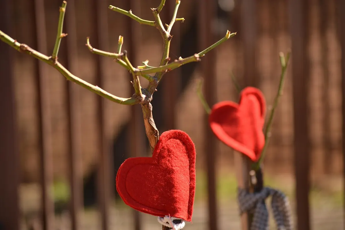 How to Prune Roses in the UK: A Step-by-Step Guide for Healthier Blooms